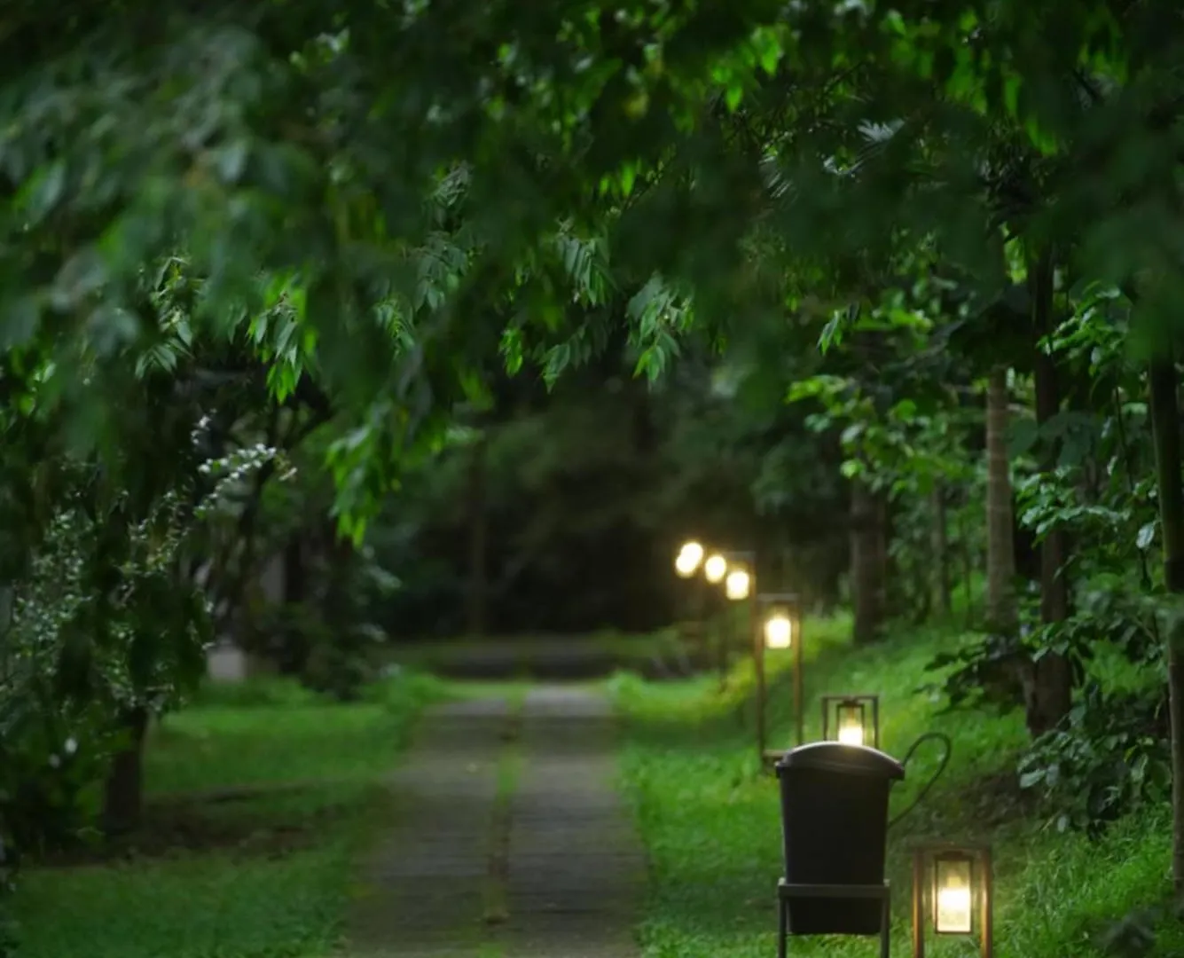 Coffee Greens Resort Wayanad India